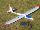Multiplex Easyglider