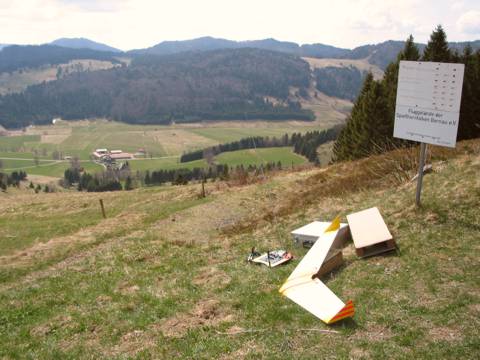 Eagle in Bernau