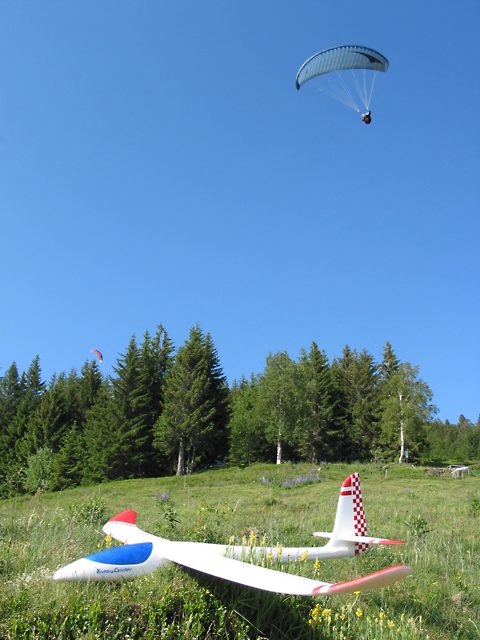 Easyglider, Juni 2006 in  Bernau (Hang Scheibenfelsen)