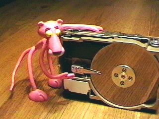 Pauli & HDD [20k]