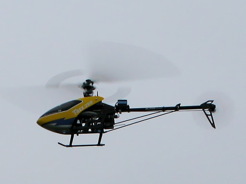 Rex im Vorbeiflug...